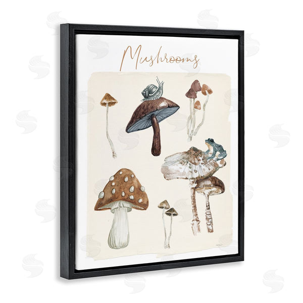 Stupell Industries Carol Robinson | Assorted Mushrooms Study