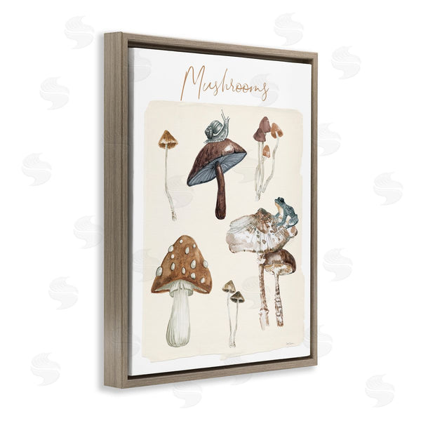 Stupell Industries Carol Robinson | Assorted Mushrooms Study