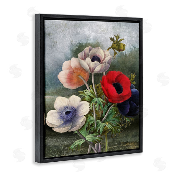 Stupell Industries Carol Robinson | Assorted Vintage Poppies