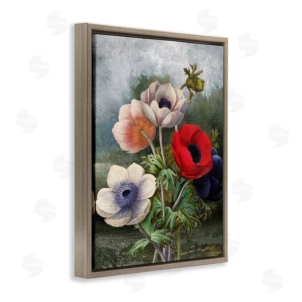 Stupell Industries Carol Robinson | Assorted Vintage Poppies