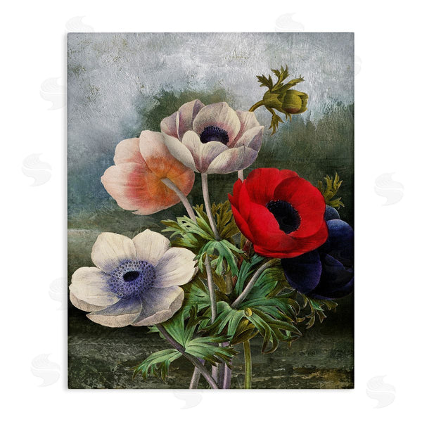 stupell industries Carol Robinson | Assorted Vintage Poppies
