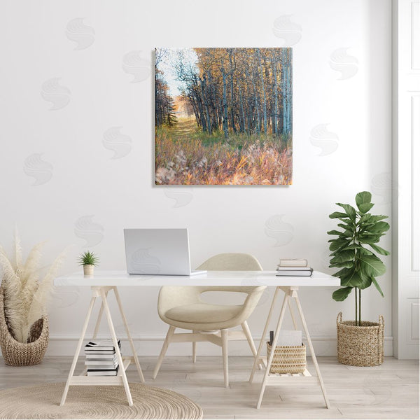 Stupell Industries Carol Robinson | Autumn Birch Trees Grassy Path Woodlands Photography Wall Art