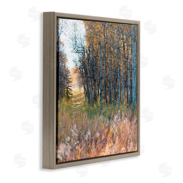 Stupell Industries Carol Robinson | Autumn Birch Trees Grassy Path Woodlands Photography Wall Art
