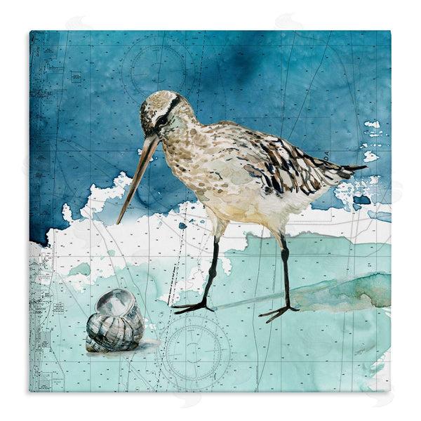 stupell industries Carol Robinson | Beach Bird Round Shell Blue Ocean Coastal Map Wall Art