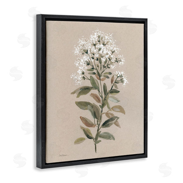 Stupell Industries Carol Robinson | Blooming Watercolor Flower Wall Art