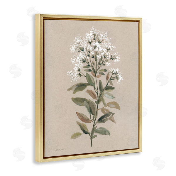 Stupell Industries Carol Robinson | Blooming Watercolor Flower Wall Art