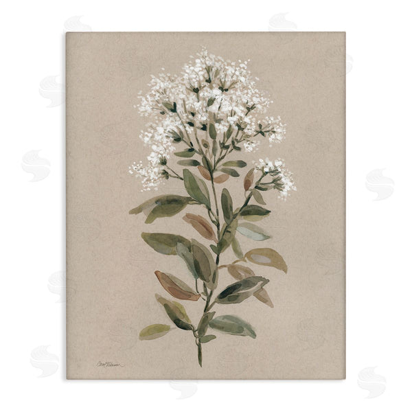 stupell industries Carol Robinson | Blooming Watercolor Flower Wall Art