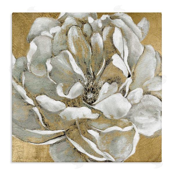 stupell industries Carol Robinson | Blushing White Magnolia Flower Abstract
