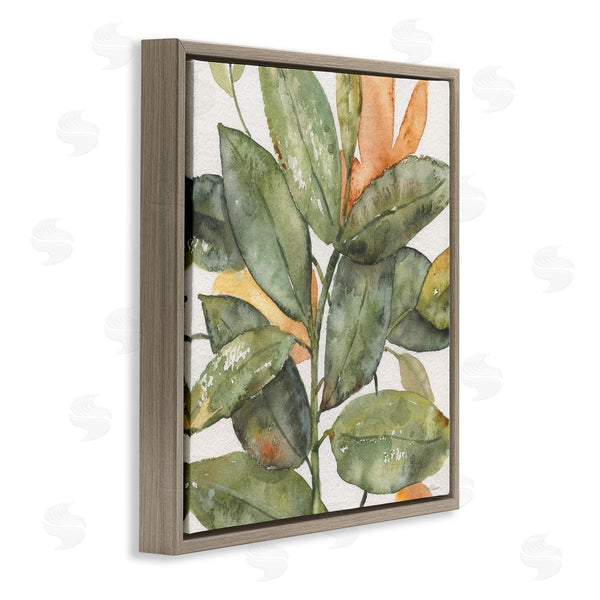 Stupell Industries Carol Robinson | Botanical Leaves Watercolor Plant Wall Art