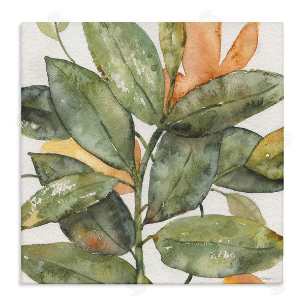 stupell industries Carol Robinson | Botanical Leaves Watercolor Plant Wall Art