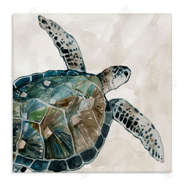 stupell industries Carol Robinson | Brown Tortoise Sea Life Wall Art