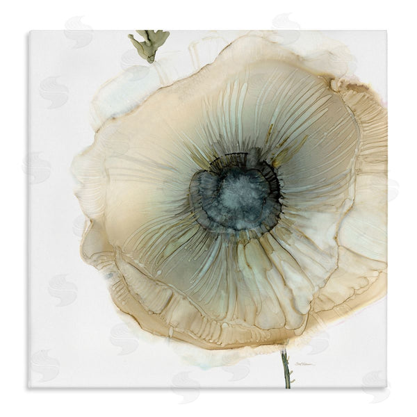 stupell industries Carol Robinson | Contemporary Flower Petal Poppy Blossom Wall Art