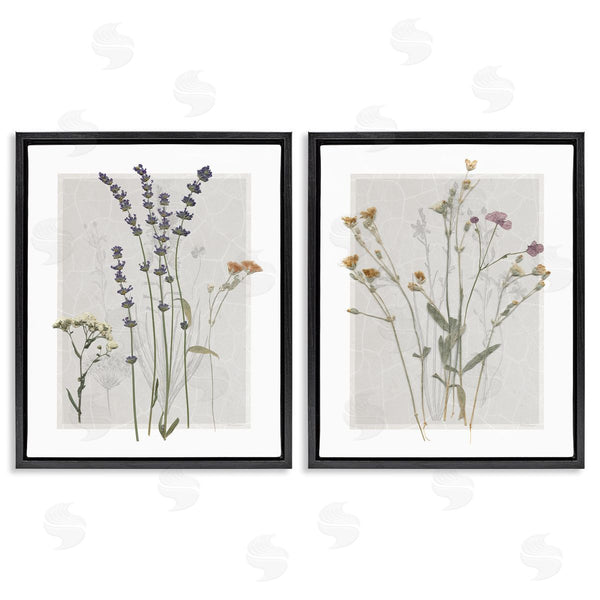 Stupell Industries Carol Robinson | Delicate Wildflower Herb Sprigs