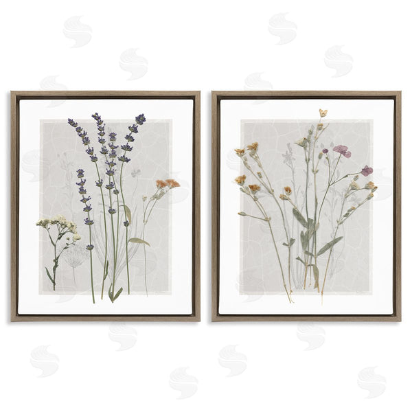 Stupell Industries Carol Robinson | Delicate Wildflower Herb Sprigs