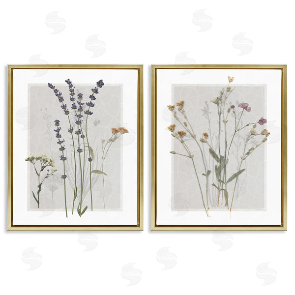 Stupell Industries Carol Robinson | Delicate Wildflower Herb Sprigs
