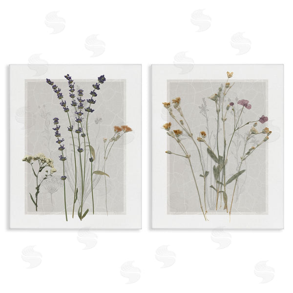 stupell industries Carol Robinson | Delicate Wildflower Herb Sprigs