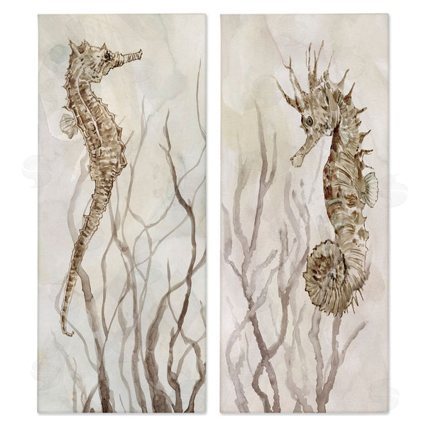 stupell industries Carol Robinson | Enchanted Sea Horse & Ocean Algae Wall Art