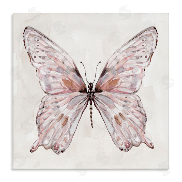 stupell industries Carol Robinson | Faded Blush Butterfly