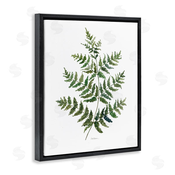 Stupell Industries Carol Robinson | Flared Fern Branches