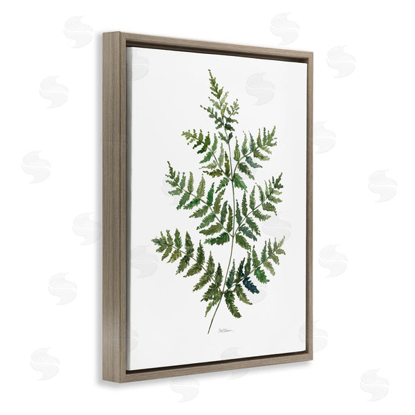 Stupell Industries Carol Robinson | Flared Fern Branches