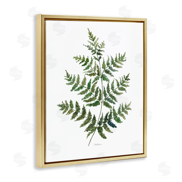 Stupell Industries Carol Robinson | Flared Fern Branches