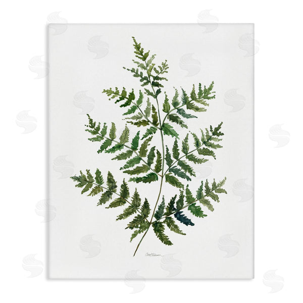 stupell industries Carol Robinson | Flared Fern Branches