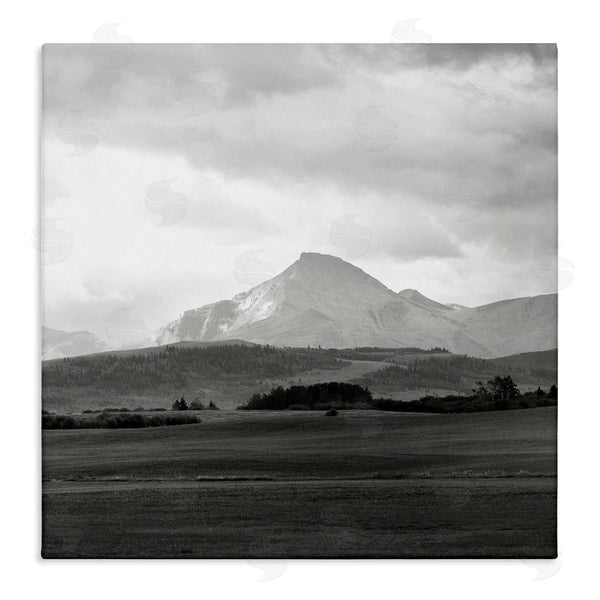 stupell industries Carol Robinson | Foggy Mountain Grassland Wall Art