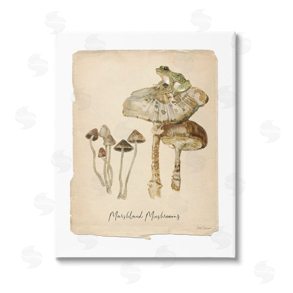 stupell industries Carol Robinson | Marshland Mushrooms & Frog Wall Art
