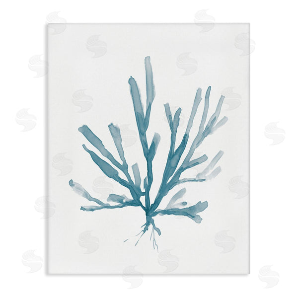 stupell industries Carol Robinson | Minimal Coral Tendrils