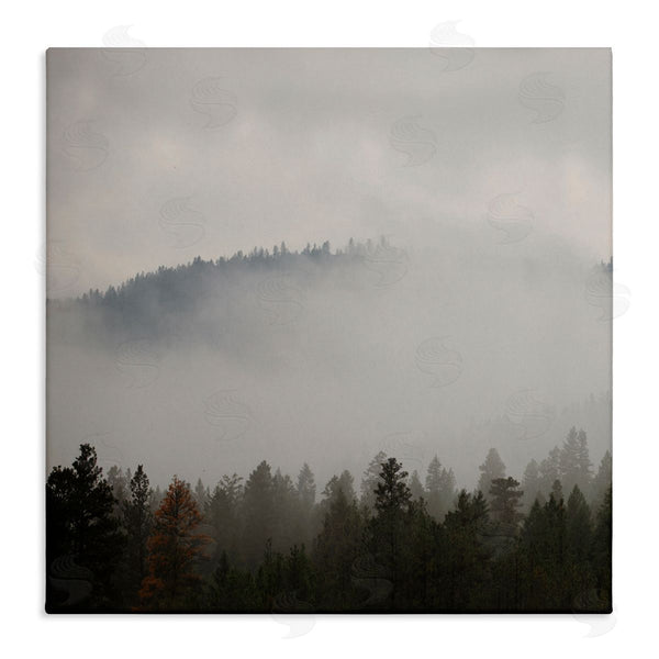 stupell industries Carol Robinson | Misty Mountain Weather Obscured Forest Tree Tops Wall Art