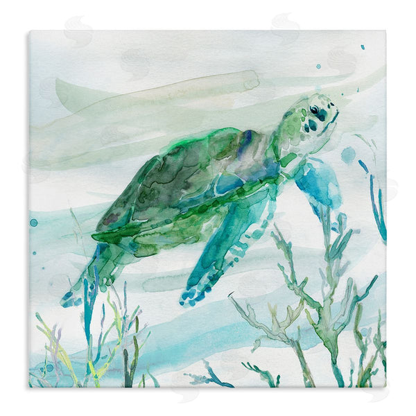 stupell industries Carol Robinson | Modern Turtle Underwater Wall Art