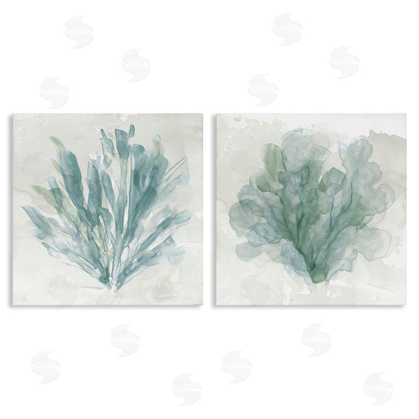 stupell industries Carol Robinson | Mottled Coral Abstracts