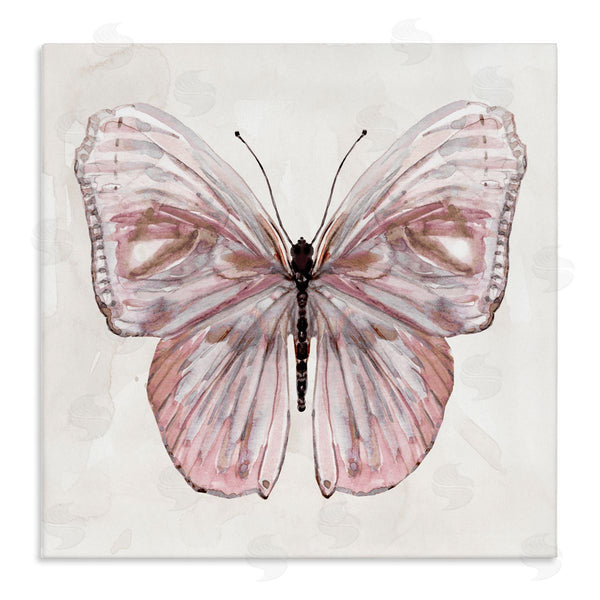 stupell industries Carol Robinson | Muted Pink Butterfly