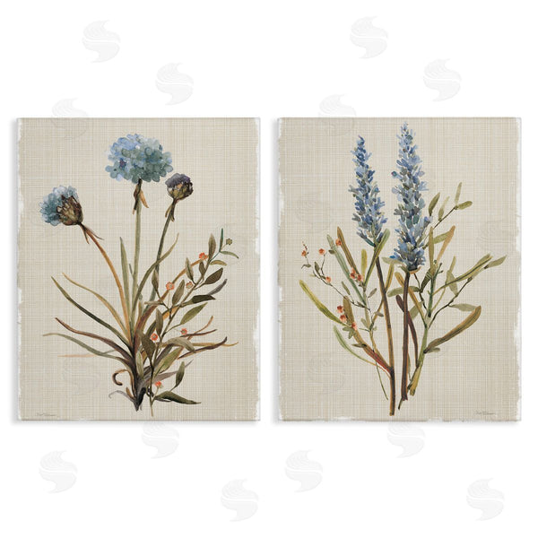 stupell industries Carol Robinson | Natural Budding Blooms