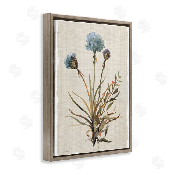 Stupell Industries Carol Robinson | Natural Hydrangea Buds