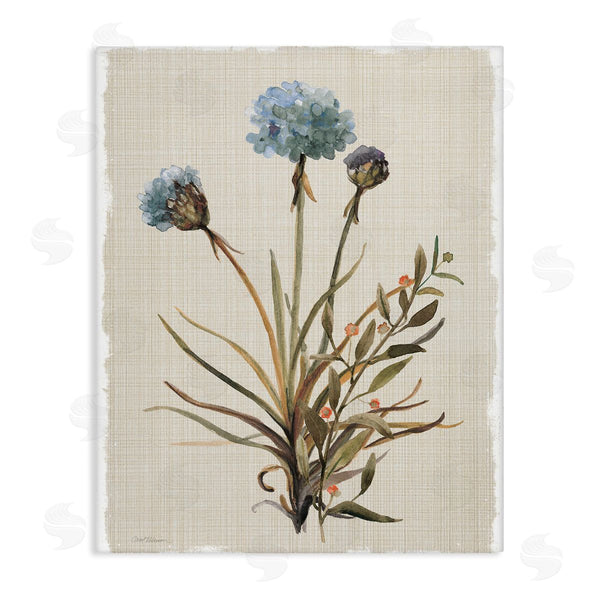 stupell industries Carol Robinson | Natural Hydrangea Buds