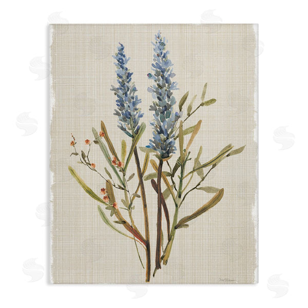 stupell industries Carol Robinson | Natural Lavender Sprigs