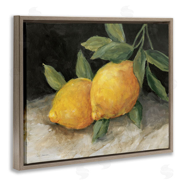 Stupell Industries Carol Robinson | Pair Of Lemons Still Life Wall Art