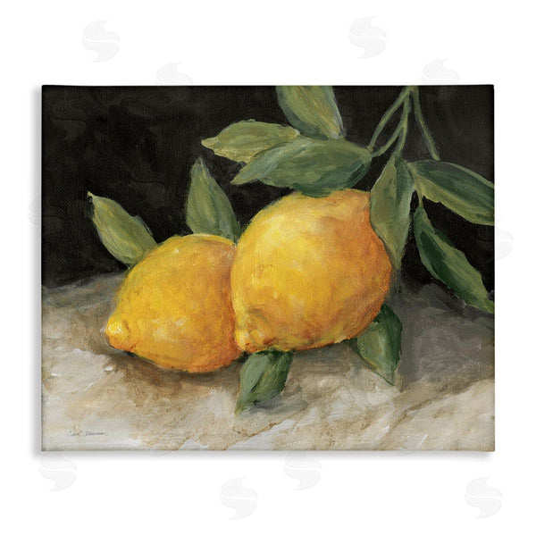 stupell industries Carol Robinson | Pair of Lemons Still Life Wall Art