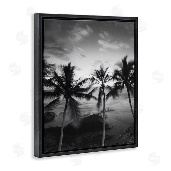 Stupell Industries Carol Robinson | Palm Tree Coast Photograph