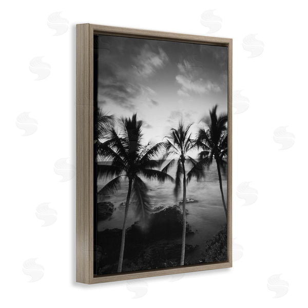 Stupell Industries Carol Robinson | Palm Tree Coast Photograph
