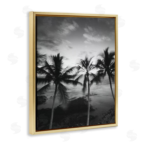 Stupell Industries Carol Robinson | Palm Tree Coast Photograph
