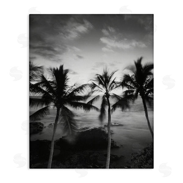 stupell industries Carol Robinson | Palm Tree Coast Photograph