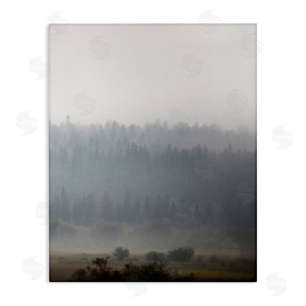 stupell industries Carol Robinson | Peaceful Fog Rural Landscape Woodlands Trees Clouds Wall Art
