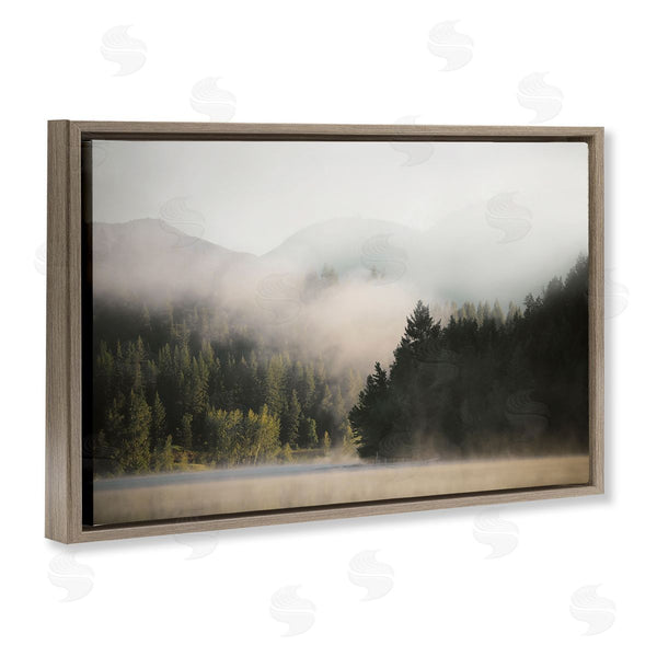 Stupell Industries Carol Robinson | Rolling Fog Woodland View