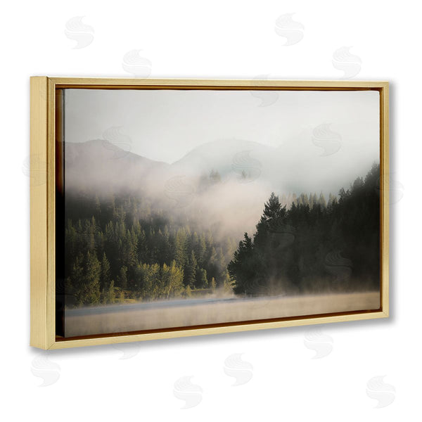 Stupell Industries Carol Robinson | Rolling Fog Woodland View