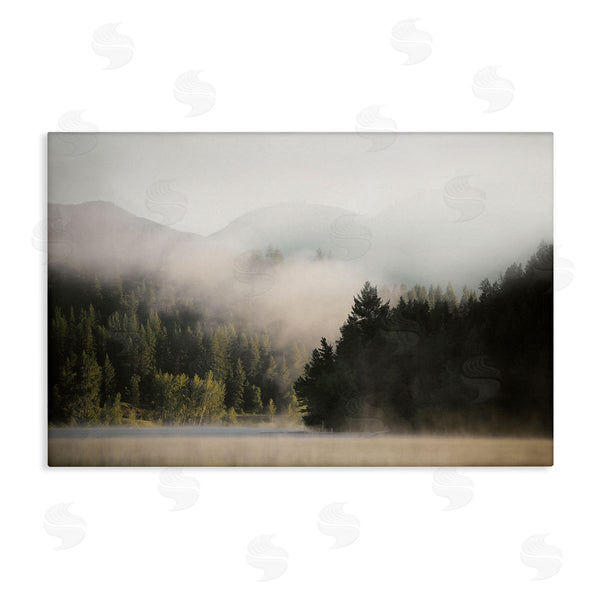 stupell industries Carol Robinson | Rolling Fog Woodland View