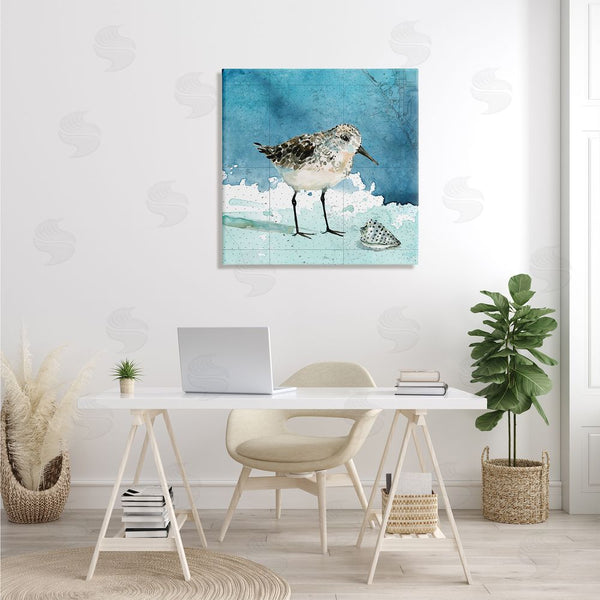 Stupell Industries Carol Robinson | Sandpiper Bird And Shell Nautical Ocean Map Wall Art