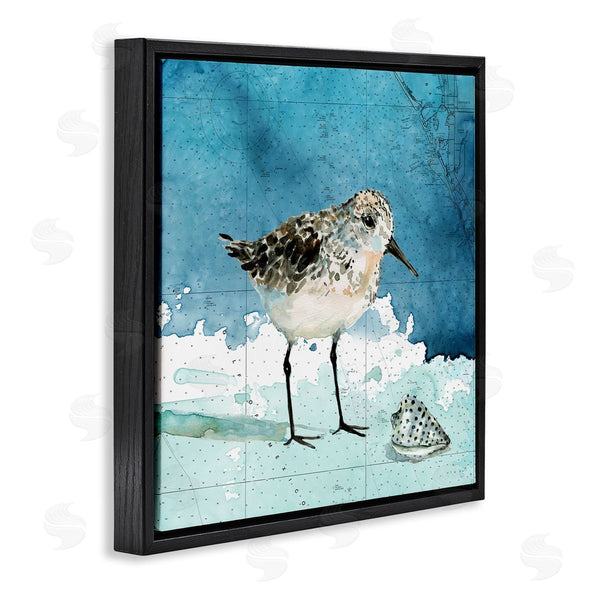Stupell Industries Carol Robinson | Sandpiper Bird And Shell Nautical Ocean Map Wall Art