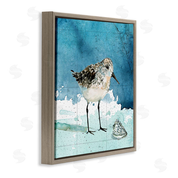 Stupell Industries Carol Robinson | Sandpiper Bird And Shell Nautical Ocean Map Wall Art